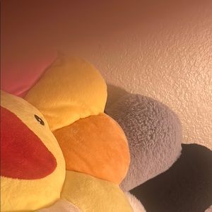 Meet your Posher, Kam